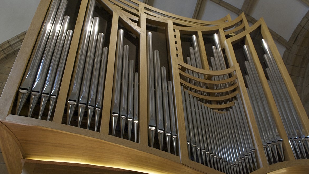 ÓRGANO AGRUPACIONES